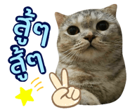 345945504