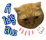 345945505