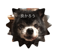 345969968