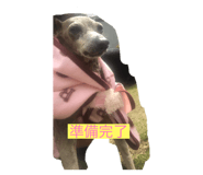345969975