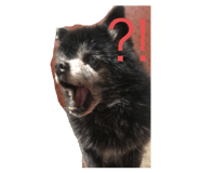 345969976
