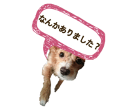 34597002