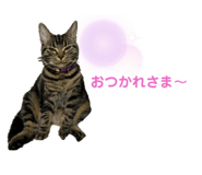 345971371