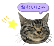 345971373