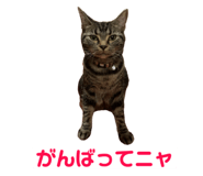 345971374