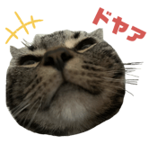 345971381