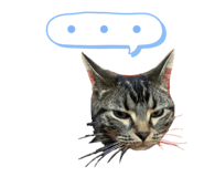 345971387