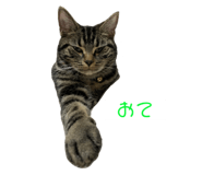 345971397