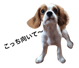 34599860