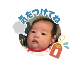 346023772
