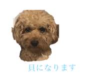 346053772