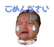 346097213