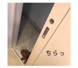346132993