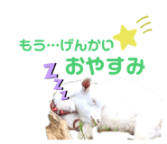 346212974