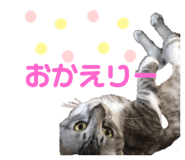 346212976