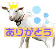 346212978