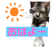 346212985