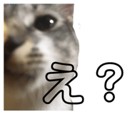 346212987