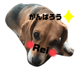 346230516