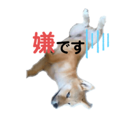 346253516