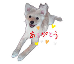 346281054