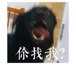 346309615