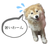 346312019