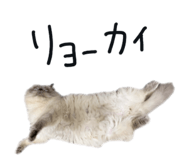 346381537