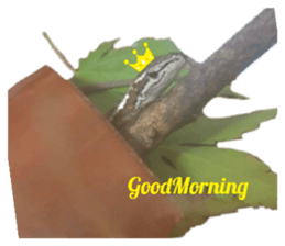346414550