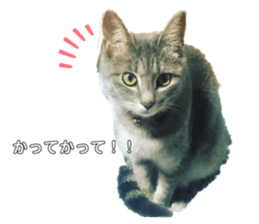 346422963