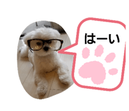 346440832