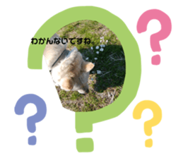 346458493