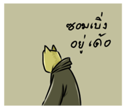34650548
