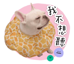 346540999