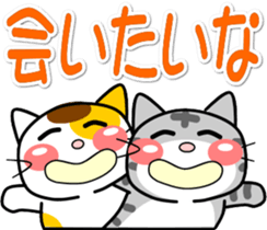346561764