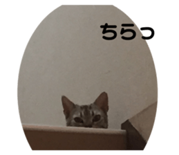 346572138