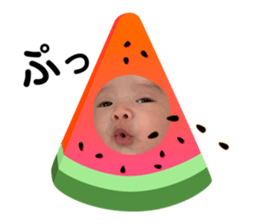 346600834