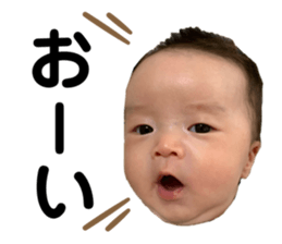 346600845