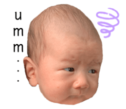 346625998