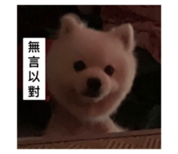 346626423