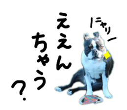 346638227