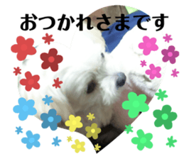 346638318