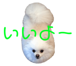 346642730