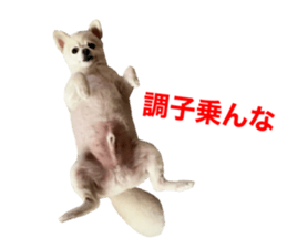 346665607