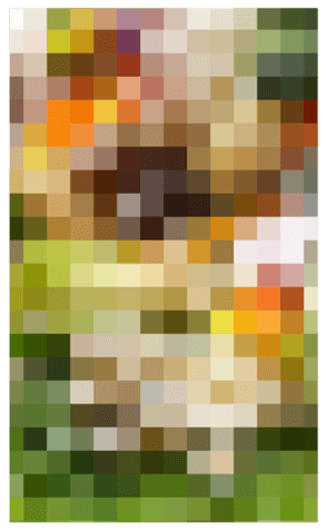 346878607