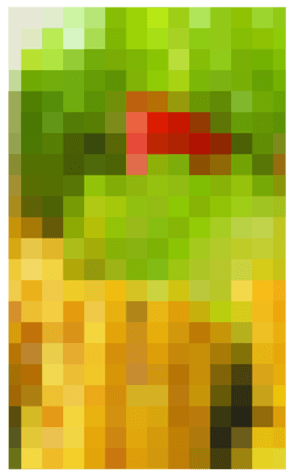 346878618