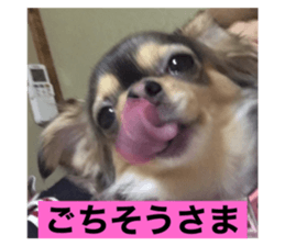 346891083