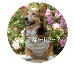 34689437