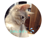 346906032