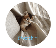 346906036